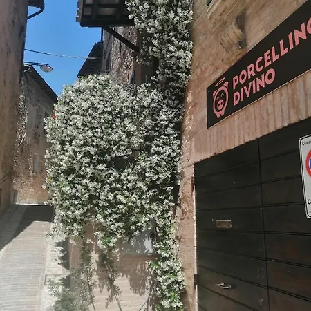 Romantica Guest house *